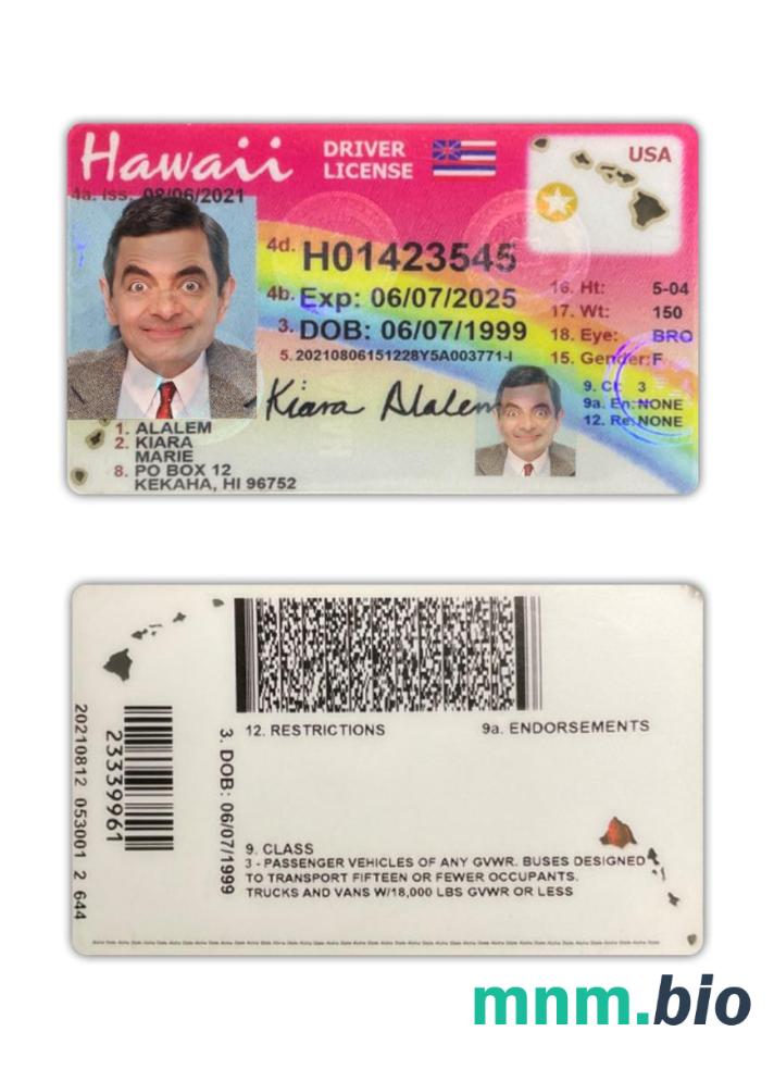 USA Hawaje prawo jazdy 2021-obecnie ze wszystkimi czcionkami